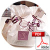 Download (PDF)