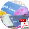 Download (PDF)