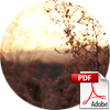 Download (PDF)